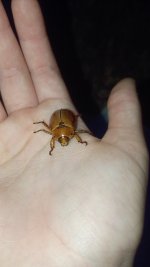 IMG_20260425_202355273.jpg