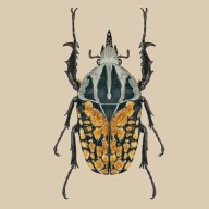 Entomobox