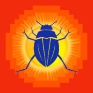 All About Arthropods