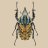 Entomobox