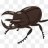 The masked beetle