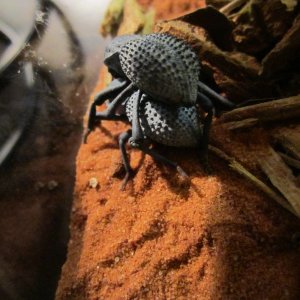 IMG_1400 - Edited.JPG