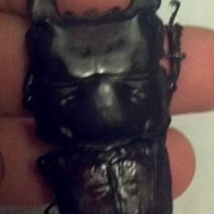 Screen Shot 2014-08-01 at á„‹á…©á„’á…® 2.31.19.png