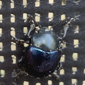 Screen Shot 2020-07-01 at 9.44.28 PM.png