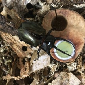 Optimized-IMG-3257 (1).JPG