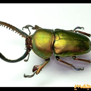 Bildschirmfoto 2010-04-25 um 18.37.42.jpg