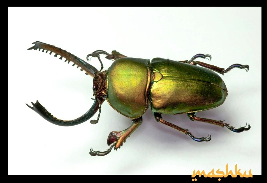 Bildschirmfoto 2010-04-25 um 18.37.42.jpg