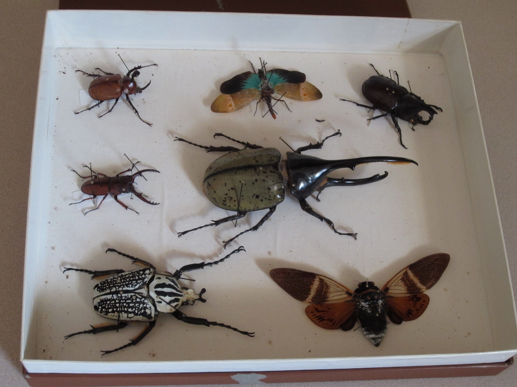 IMG_0062 (1024x768).jpg