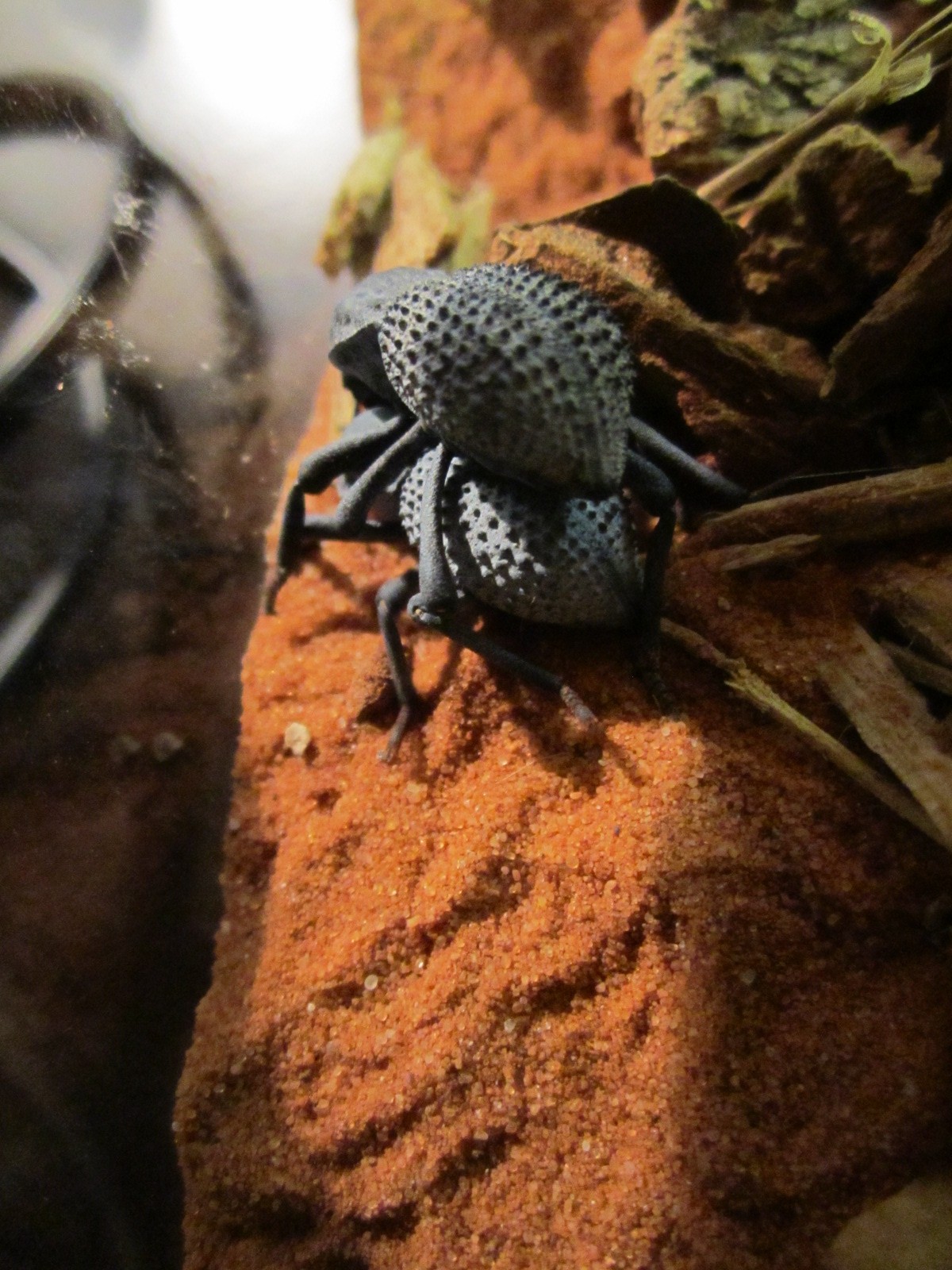 IMG_1400 - Edited.JPG