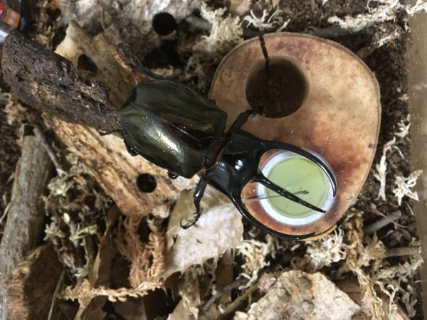 Optimized-IMG-3257 (1).JPG