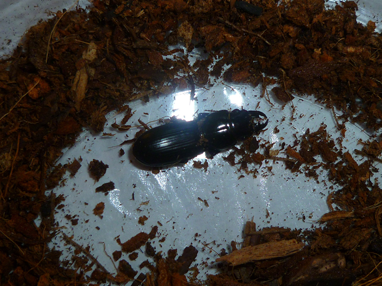 P1020980 - small.jpg