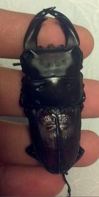 Screen Shot 2014-08-01 at á„‹á…©á„’á…® 2.31.09.png